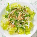 大根と水菜のサラダ　自家製胡麻ドレッシング